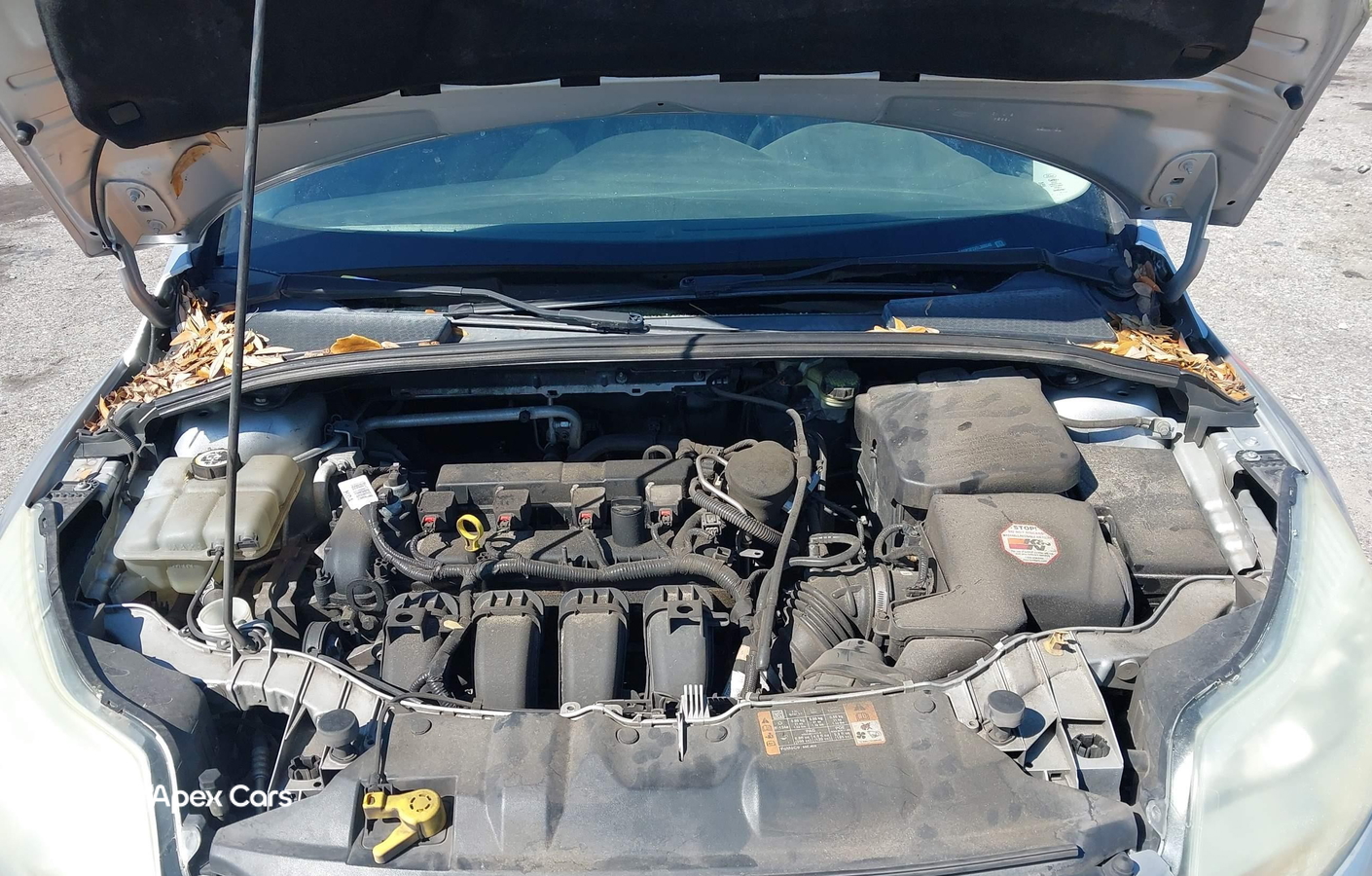 Ford Focus 2014