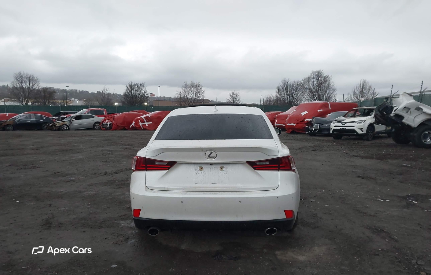 Lexus IS 2016
