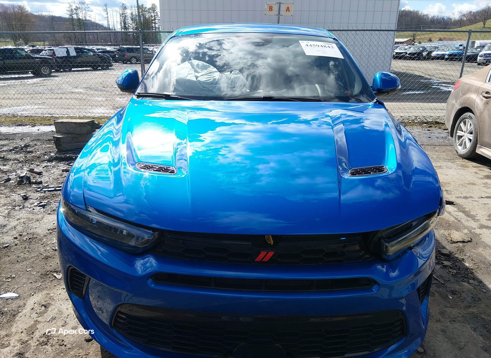 Dodge Hornet 2024