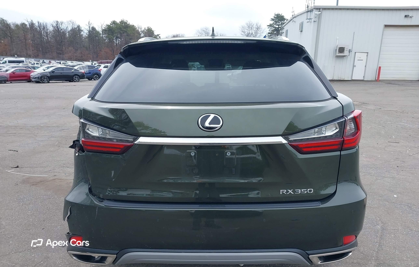 Lexus RX 2022