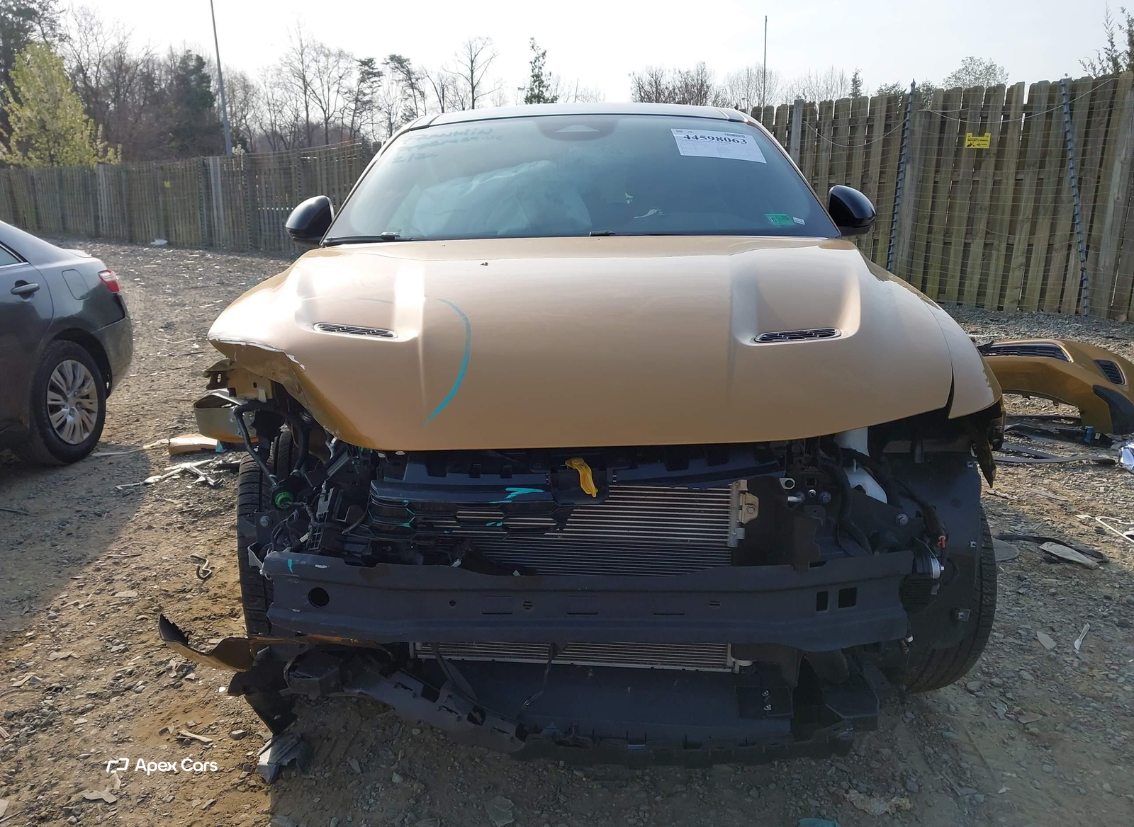 Dodge Hornet 2024