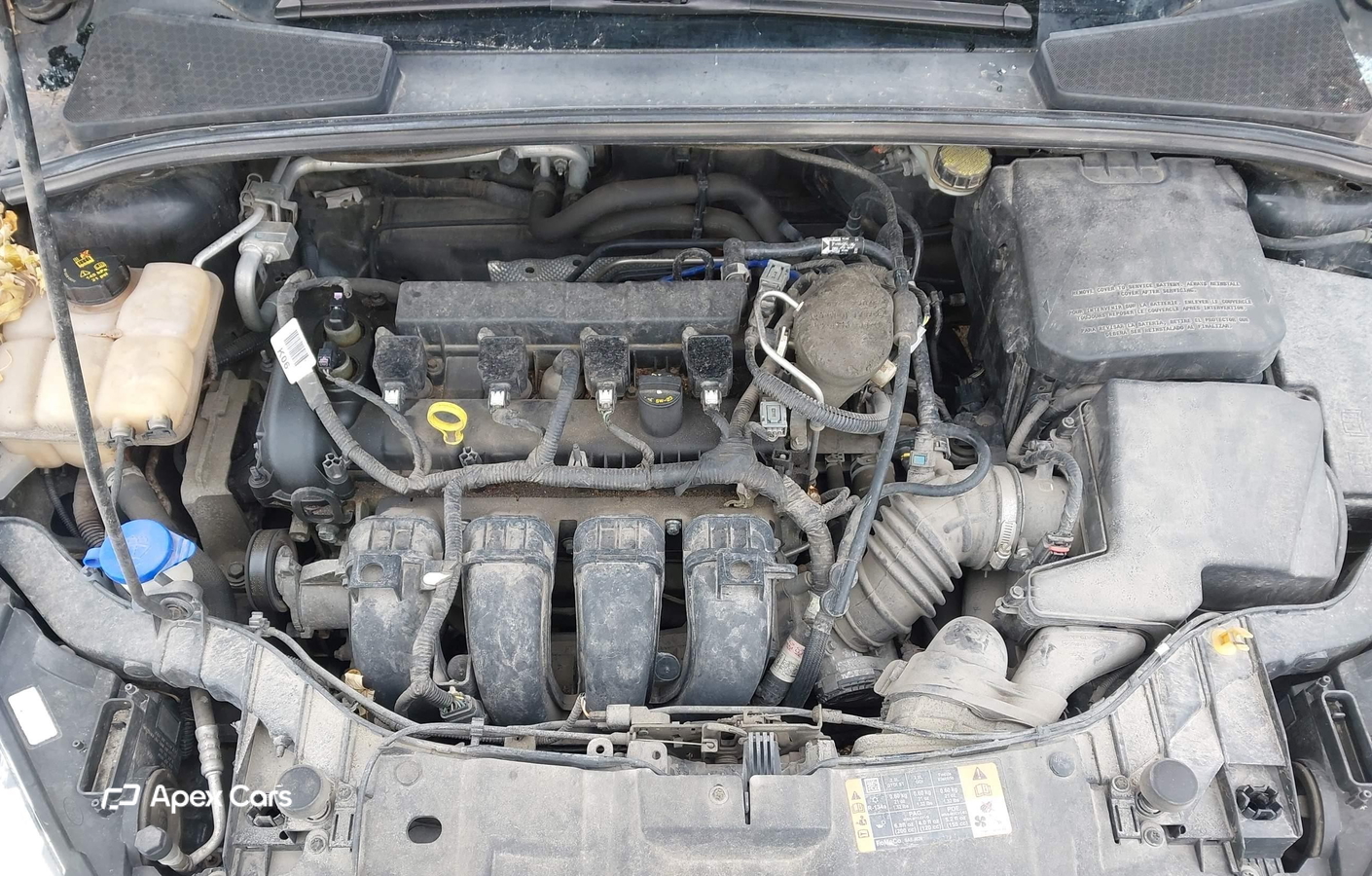 Ford Focus 2015