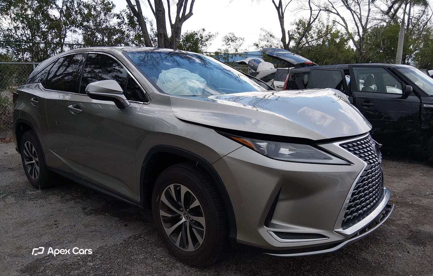 Lexus RX 2021