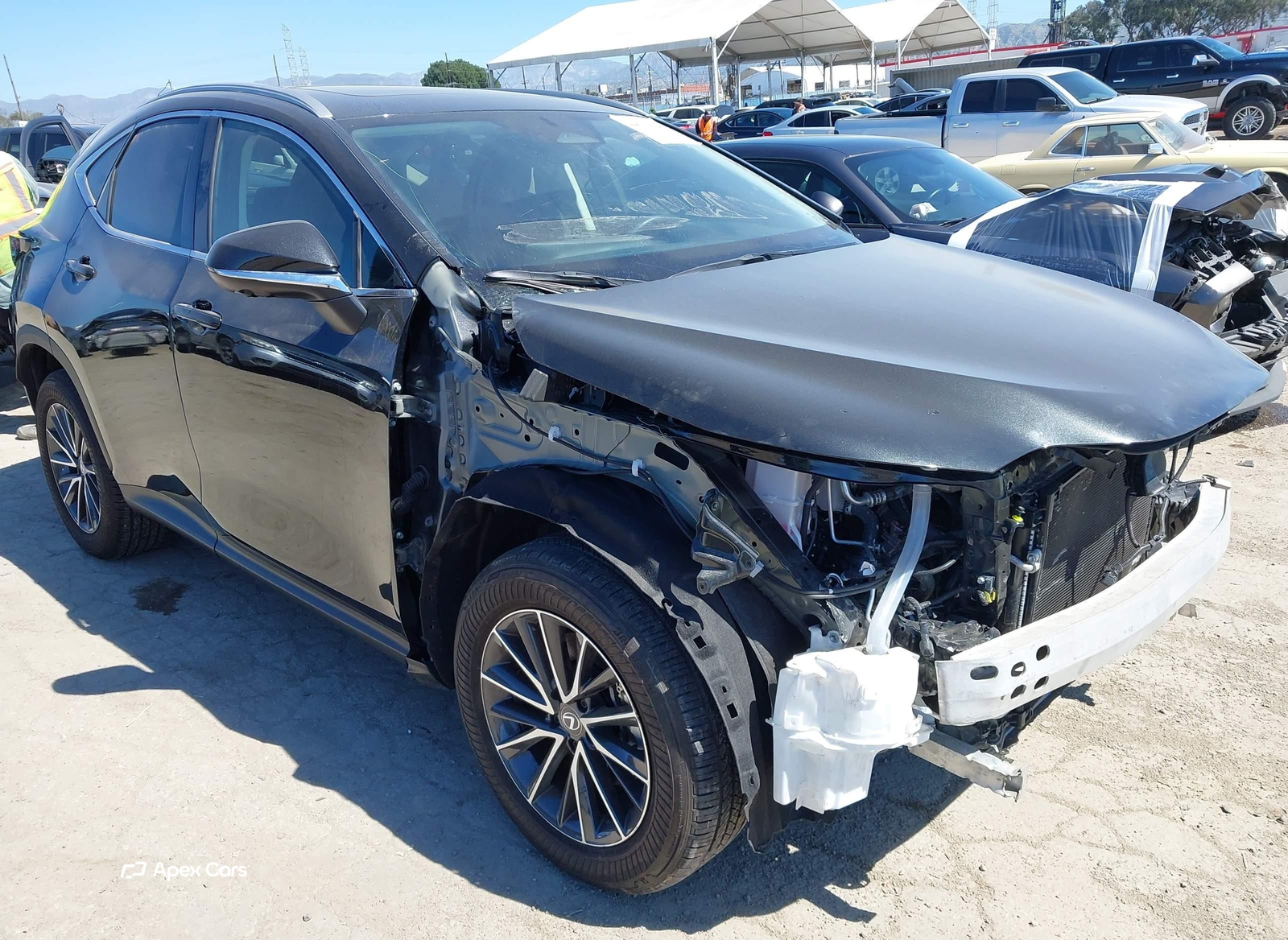 Lexus NX 2024
