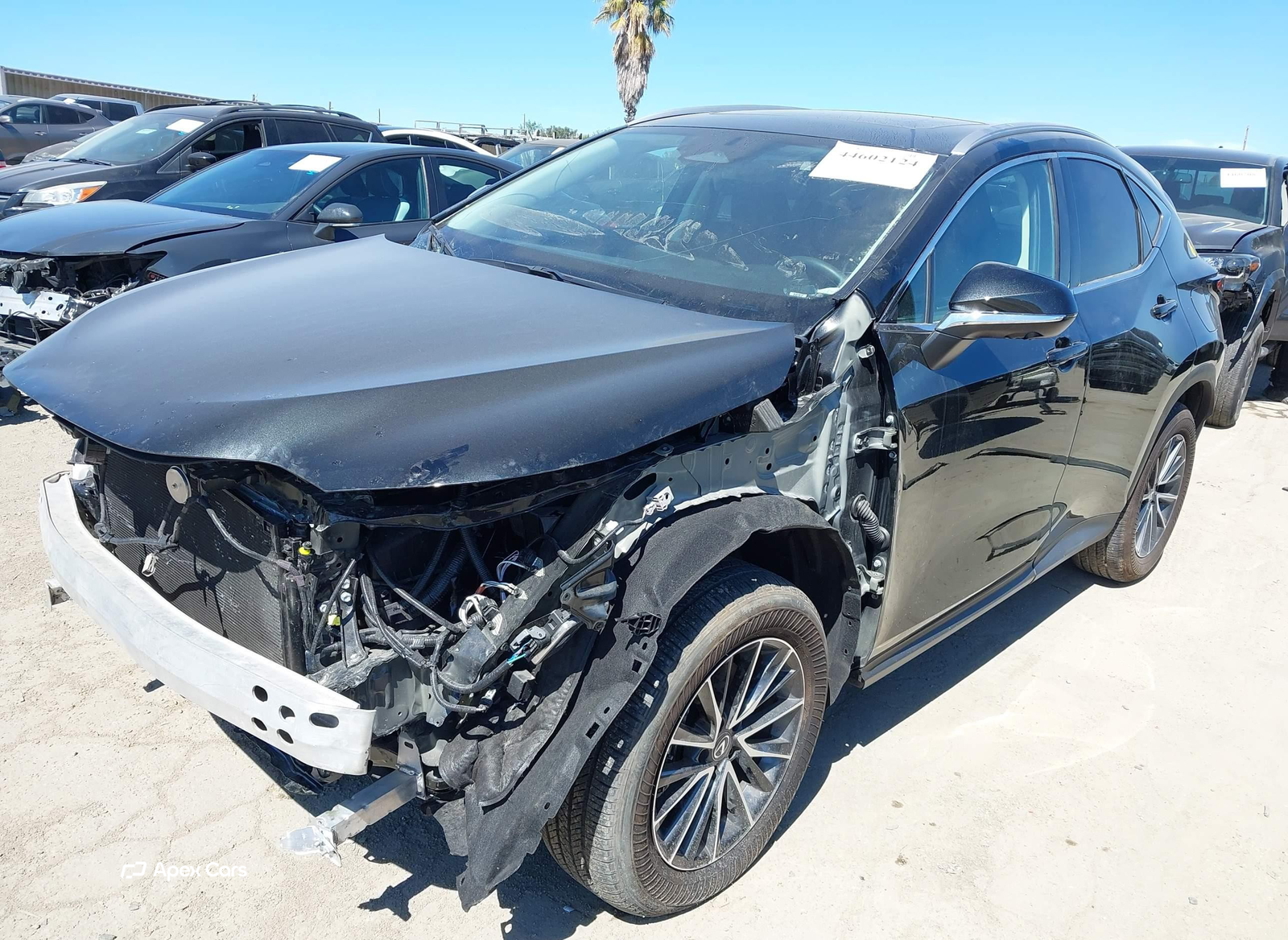 Lexus NX 2024
