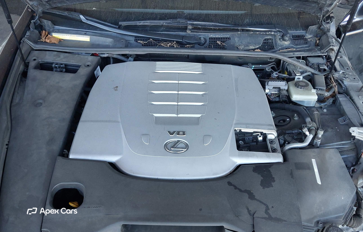 Lexus LS 2008
