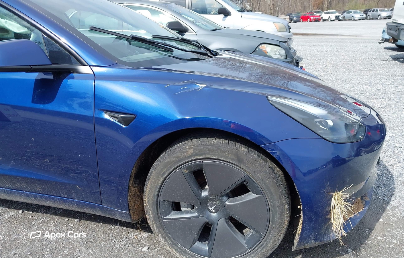 Tesla Model 3 2023