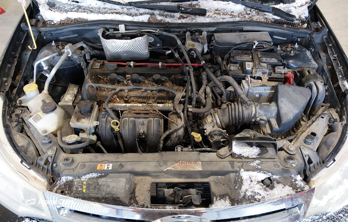 Ford Focus 2009