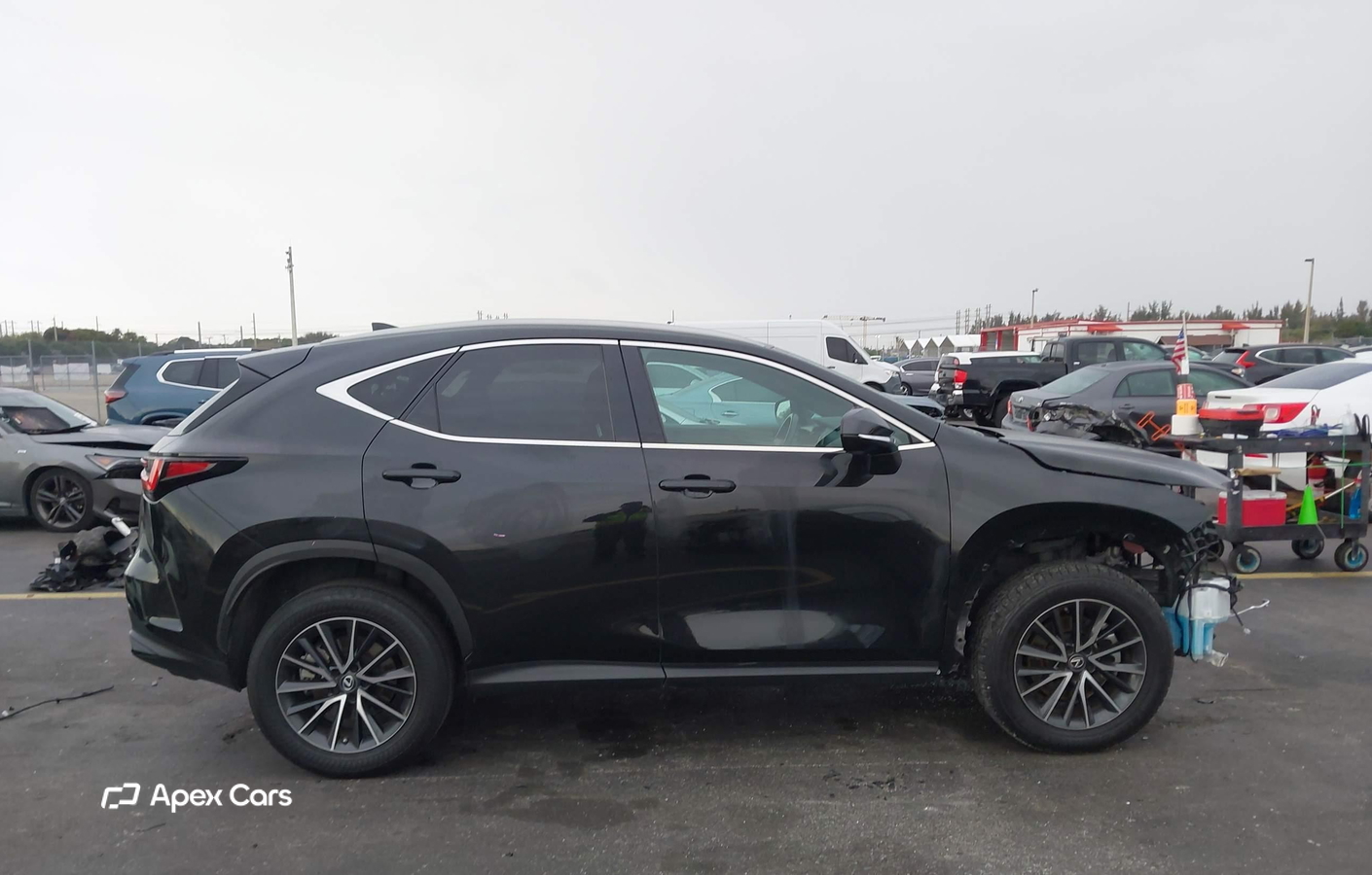 Lexus NX 2023
