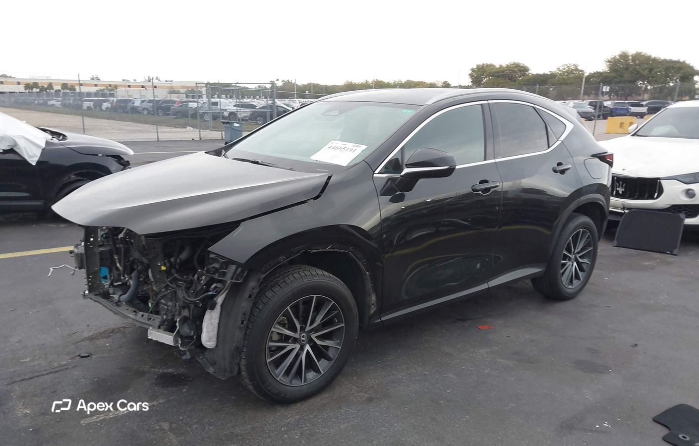 Lexus NX 2023