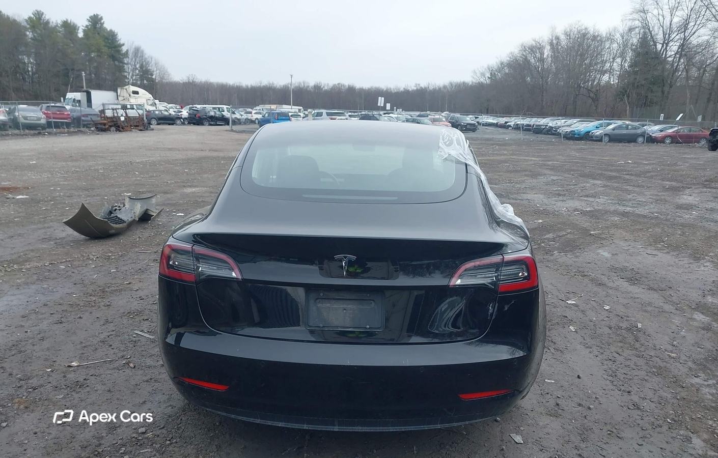 Tesla Model 3 2019