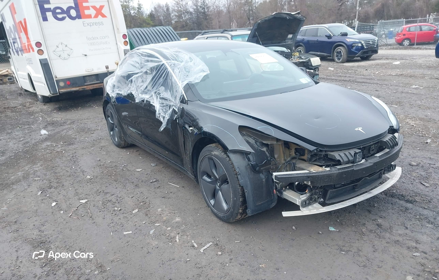 Tesla Model 3 2019
