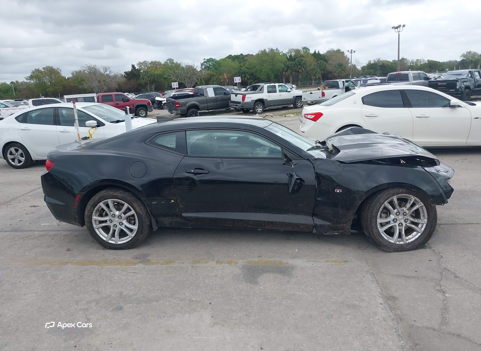 Chevrolet Camaro 2019