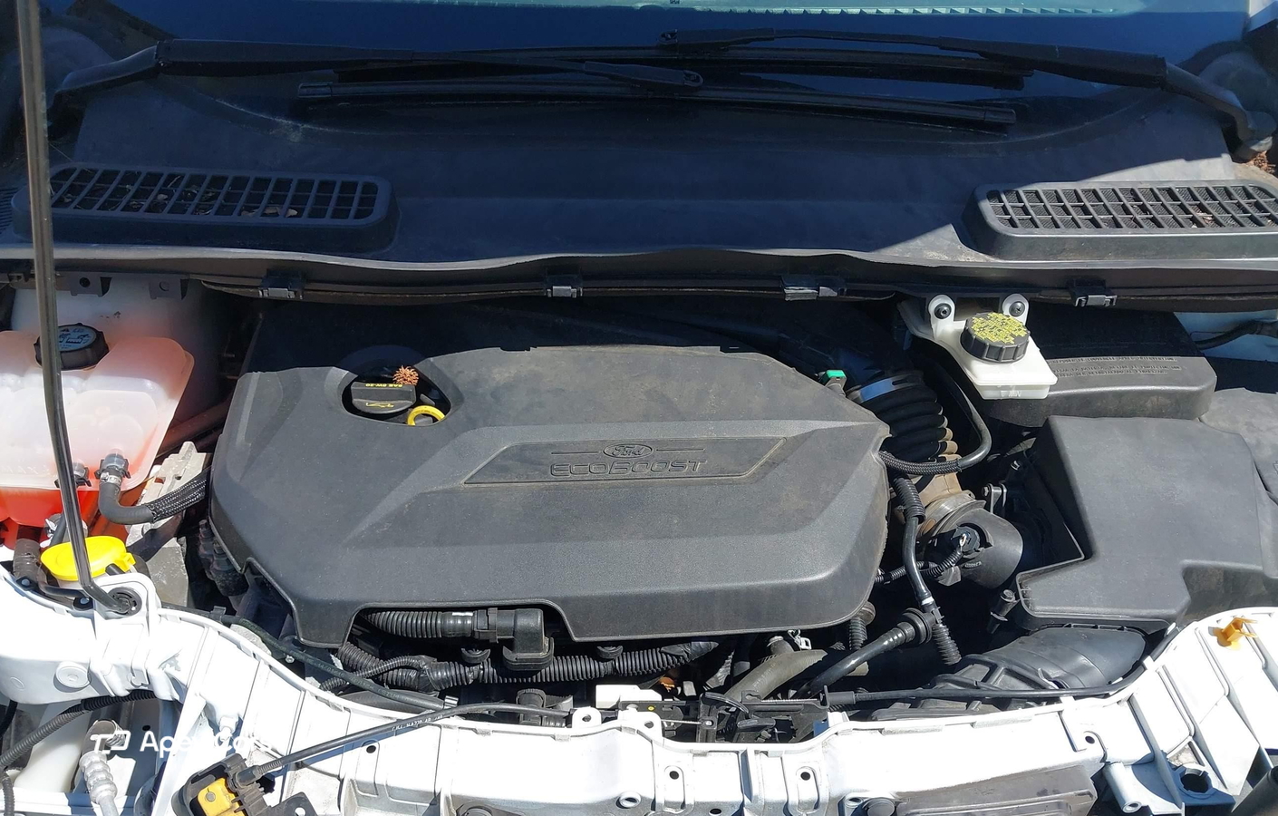 Ford Escape 2014