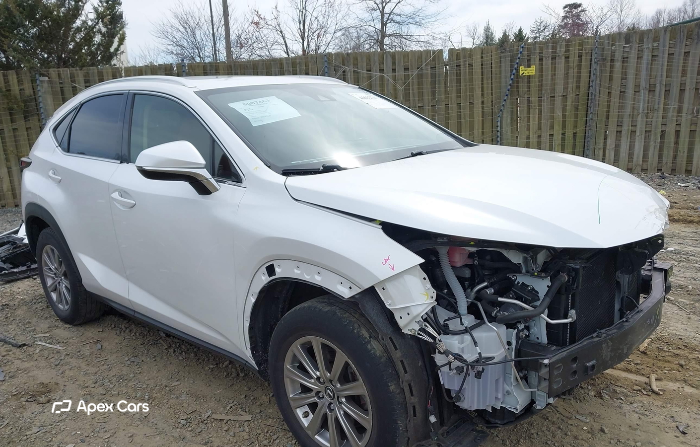 Lexus NX 2021