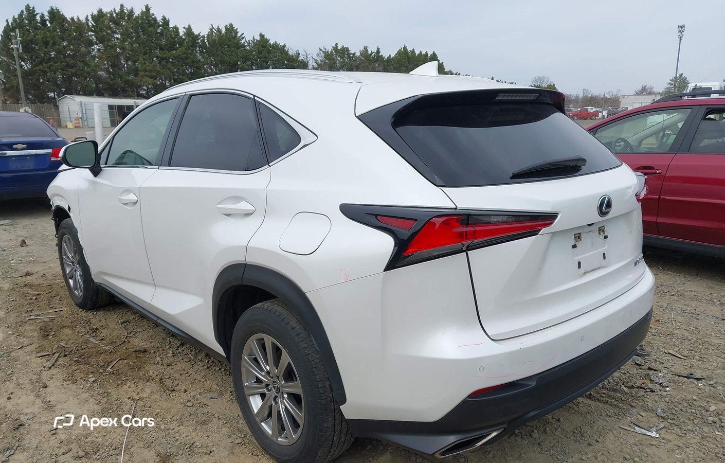 Lexus NX 2021