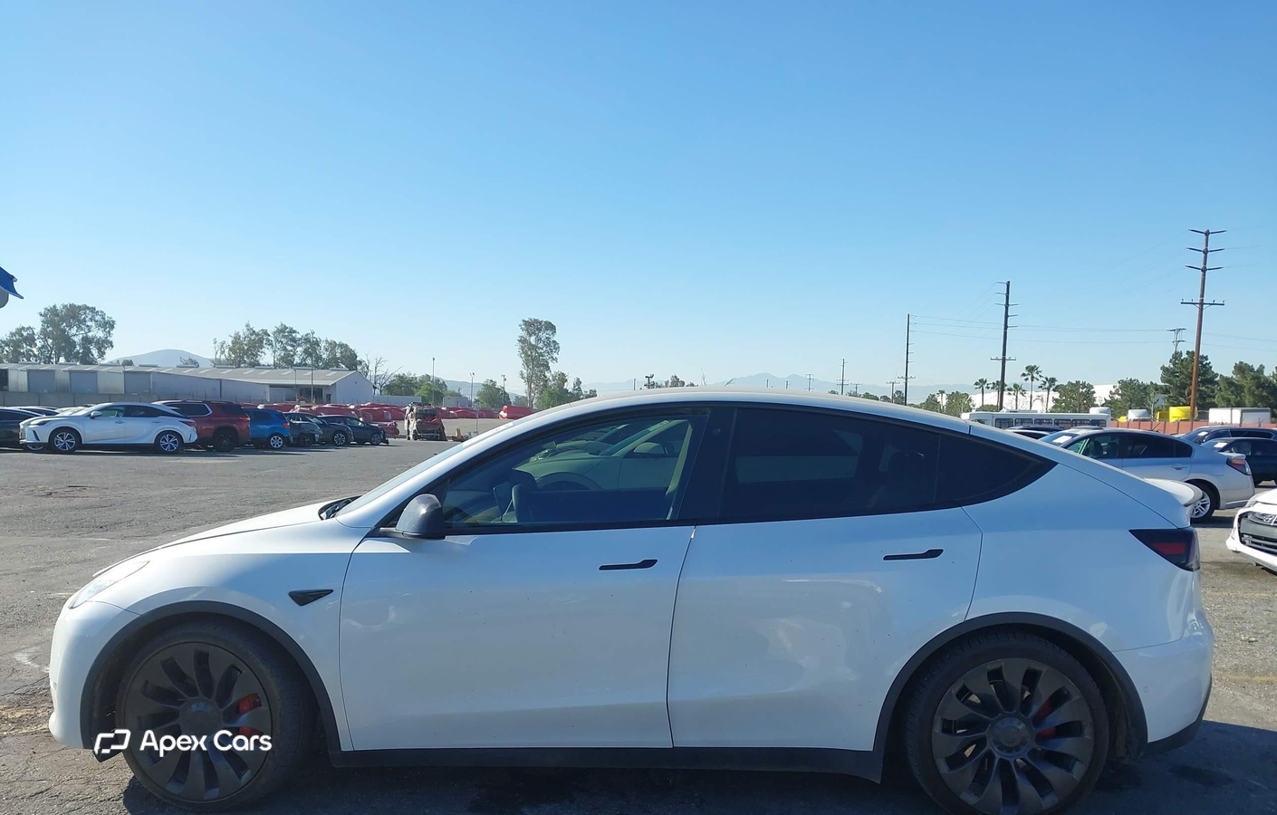 Tesla Model Y 2020