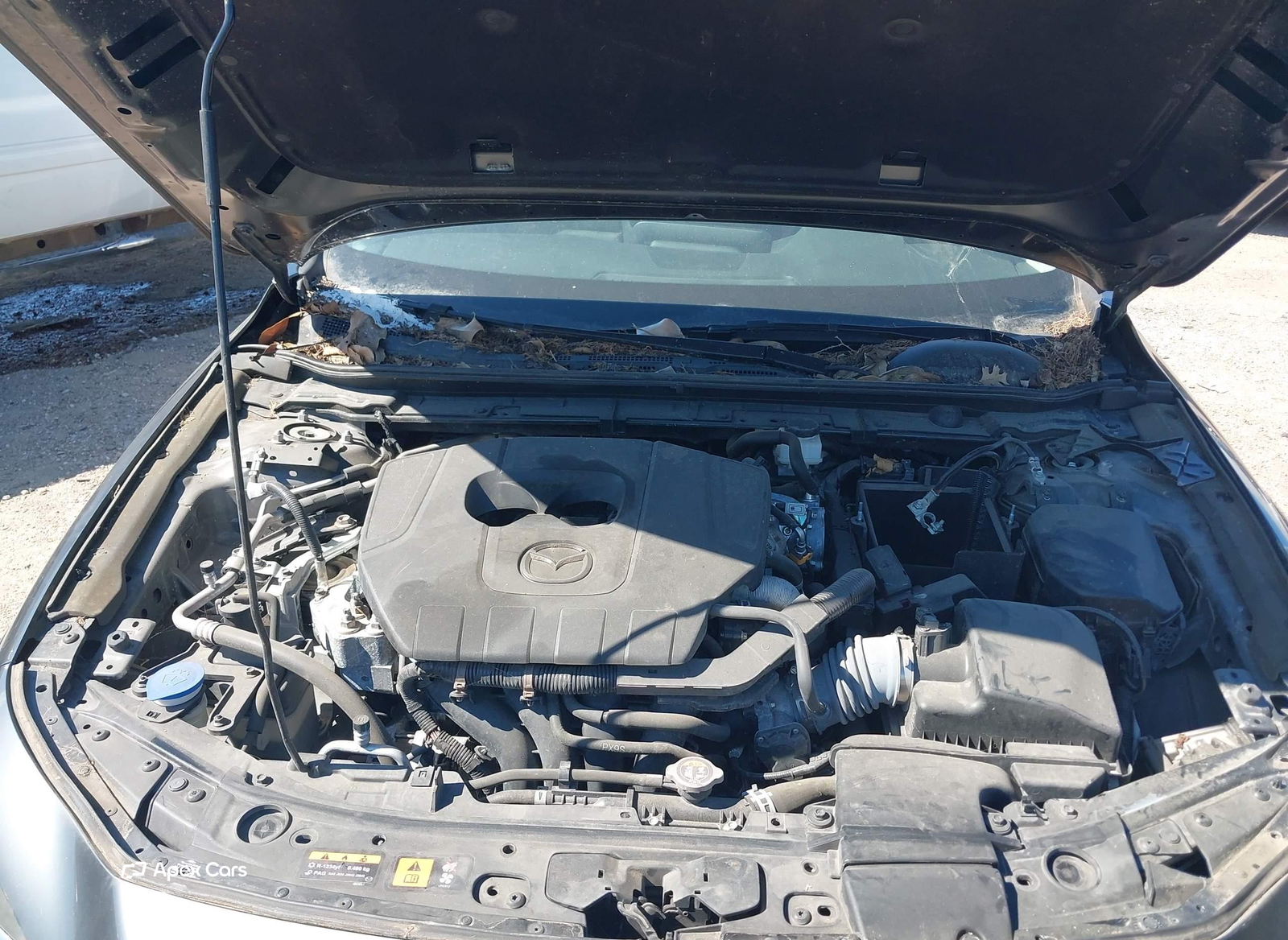 Mazda 3 2023