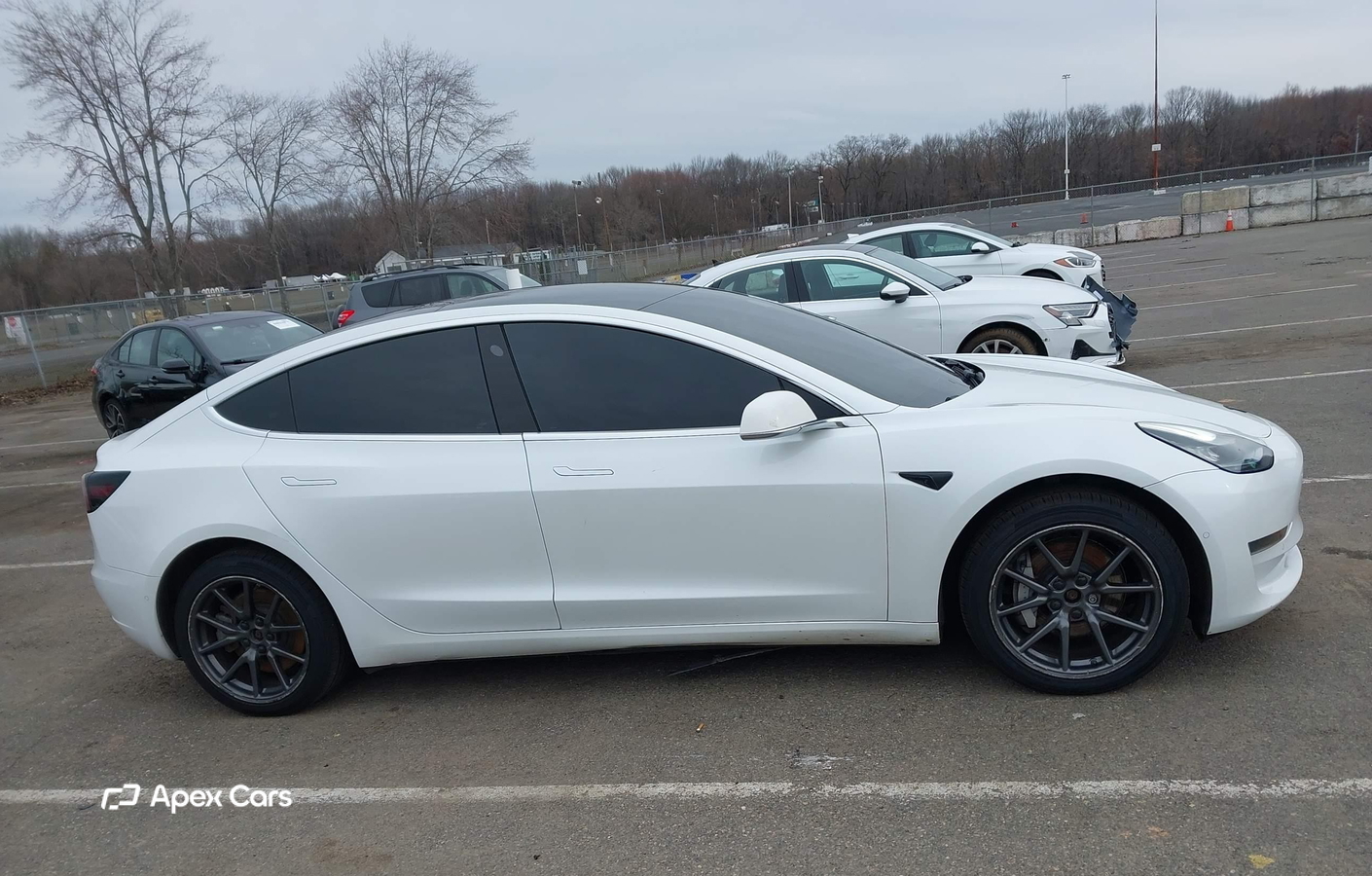 Tesla Model 3 2019