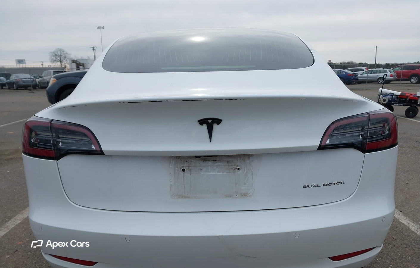 Tesla Model 3 2019
