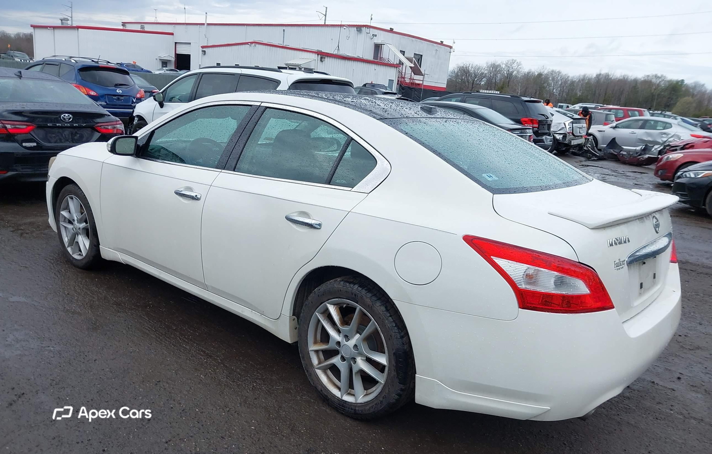 Nissan Maxima 2010