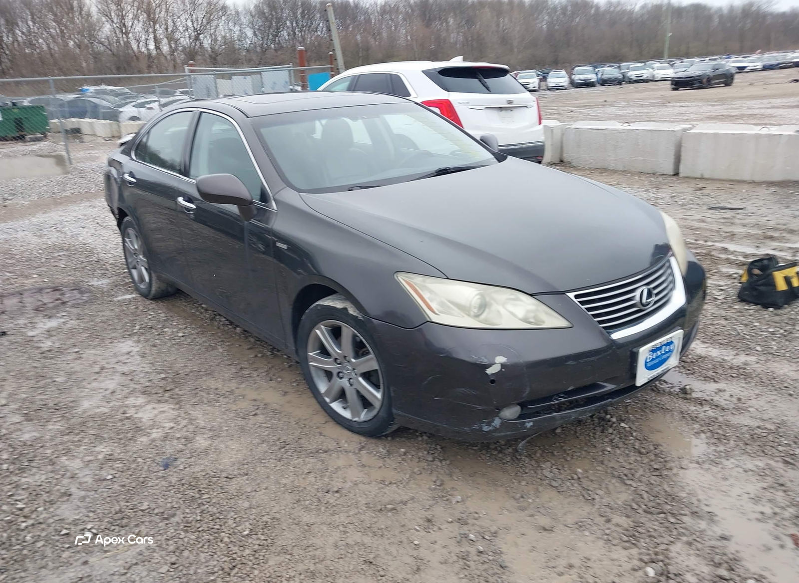 Lexus ES 2008