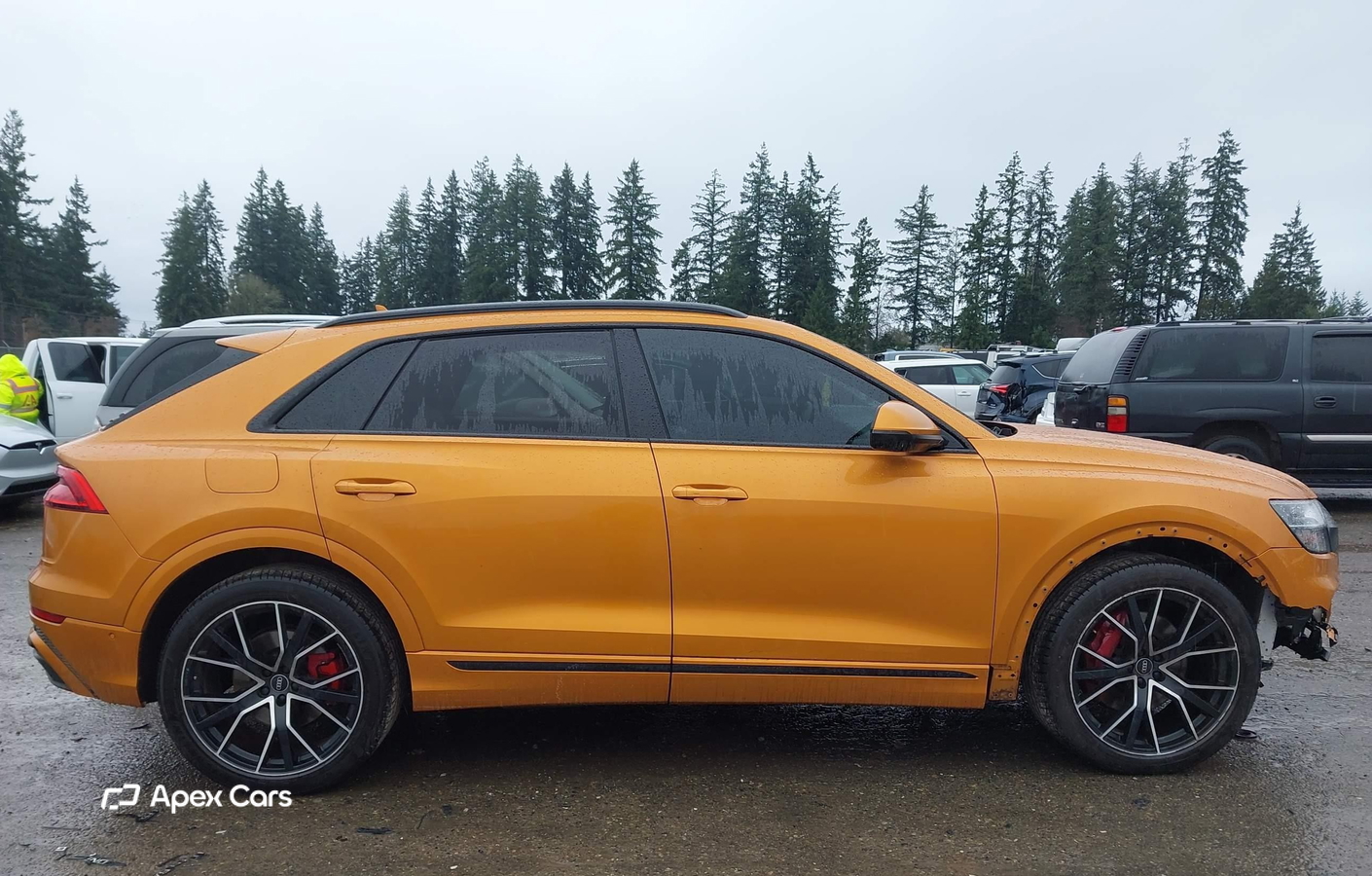 Audi Q8 2021