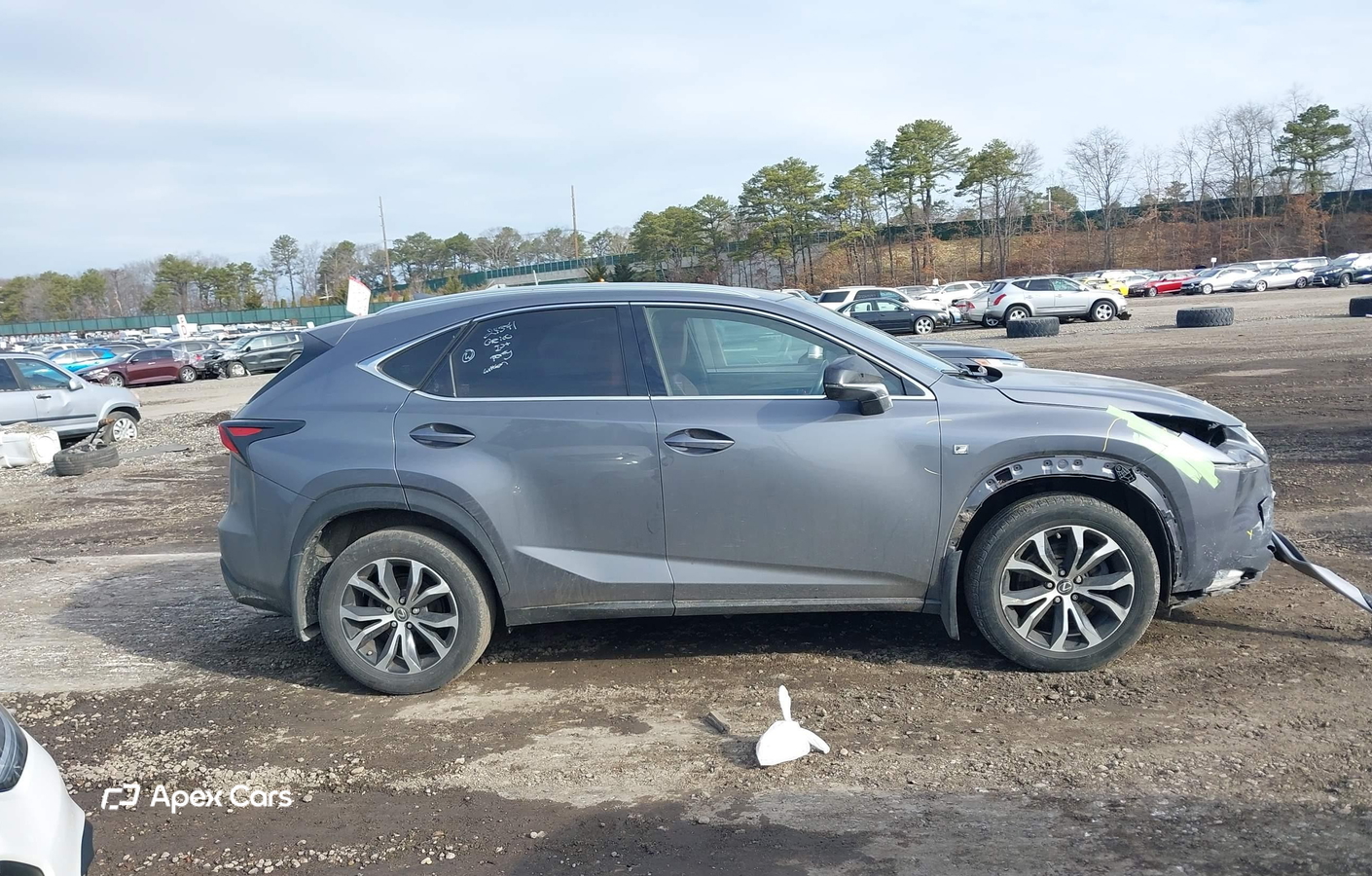 Lexus NX 2015