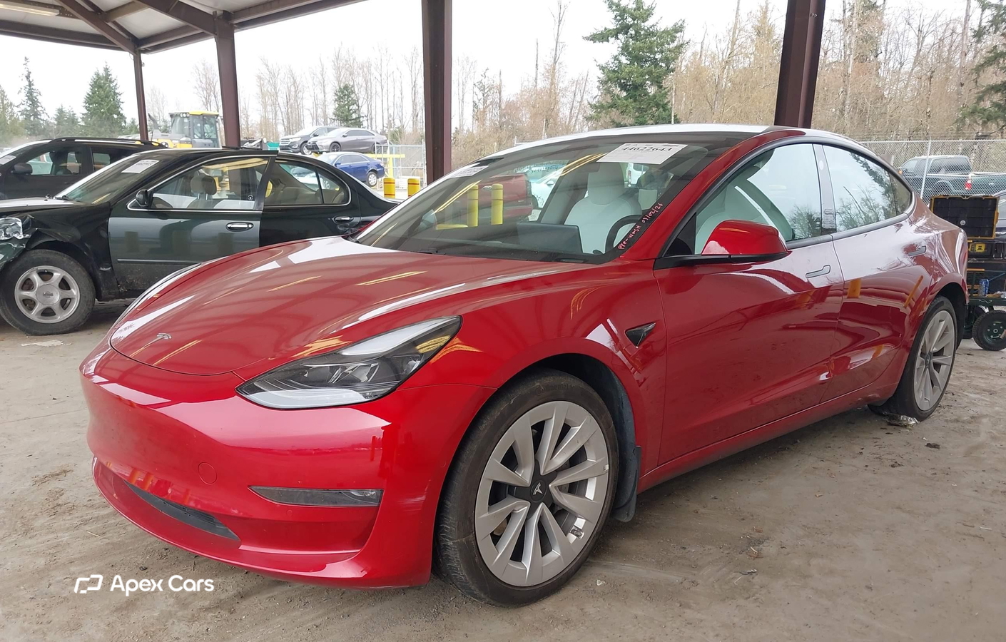 Tesla Model 3 2021