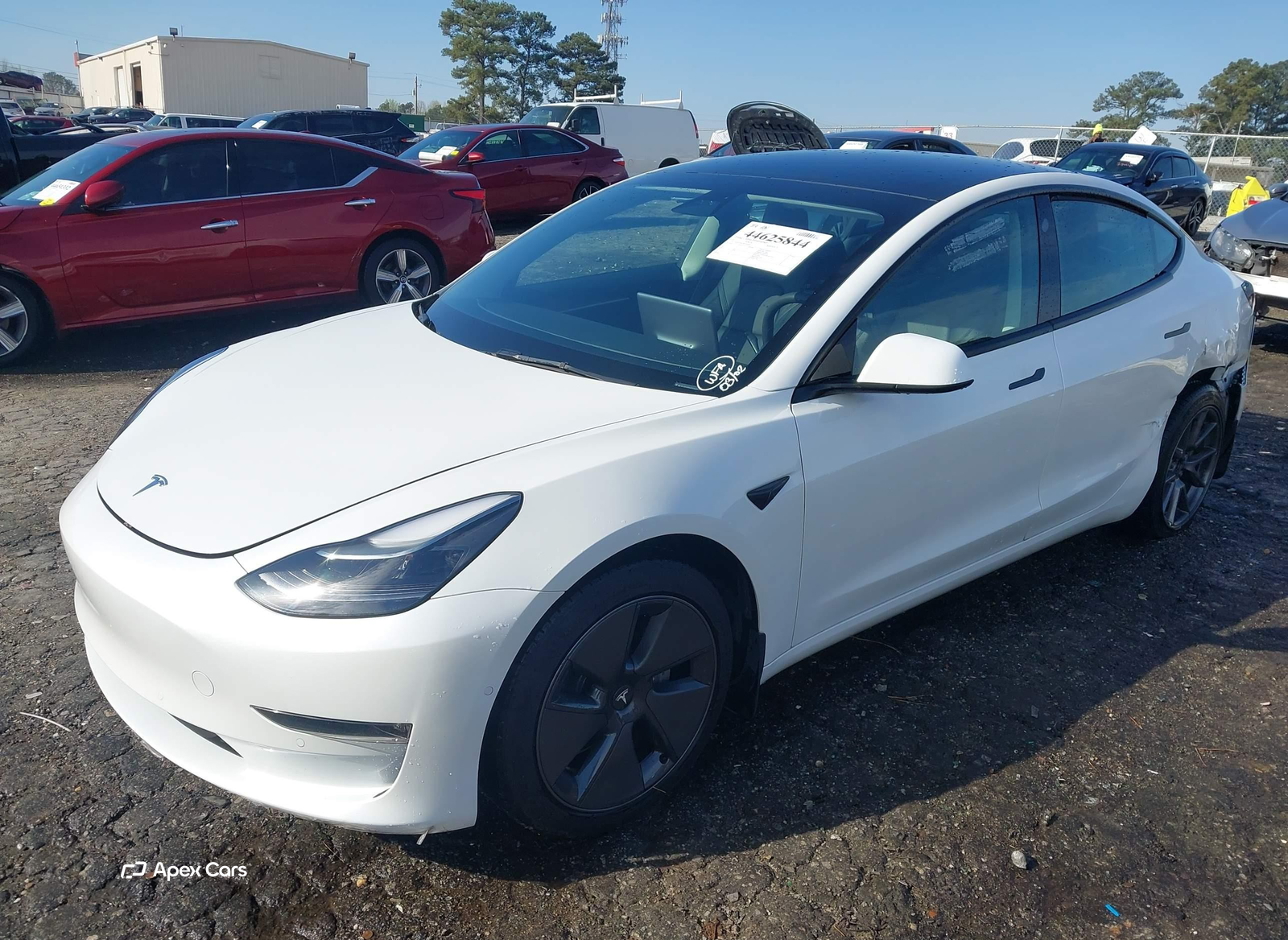 Tesla Model 3 2022