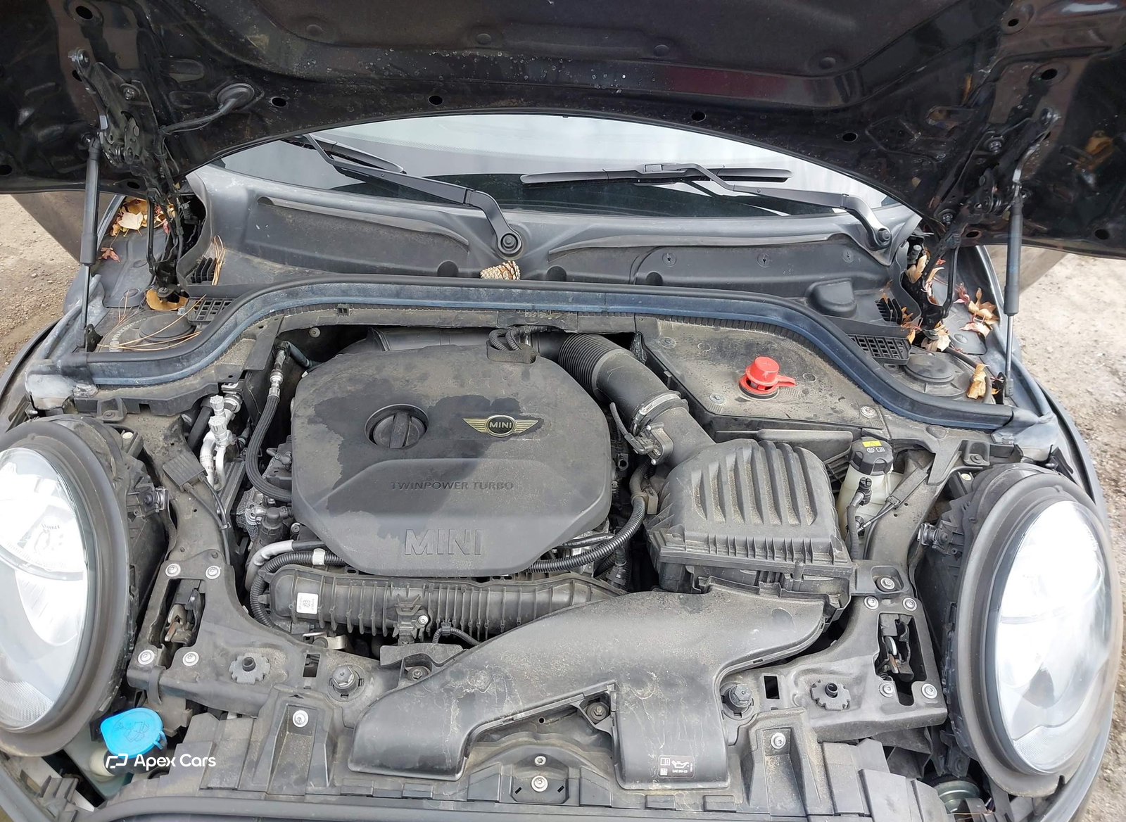 MINI Convertible 2017