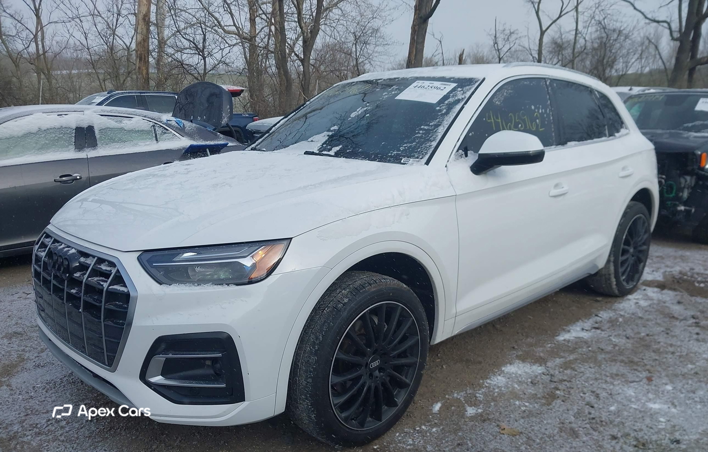 Audi Q5 2023