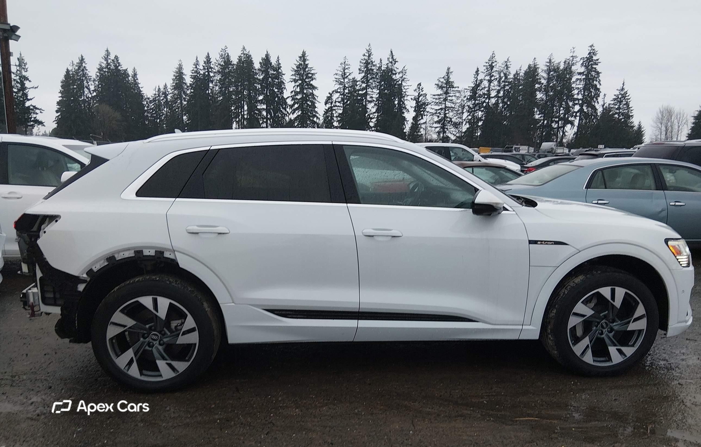 Audi e-tron 2021
