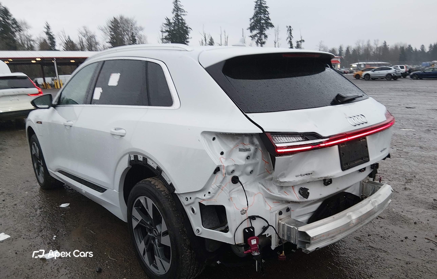 Audi e-tron 2021