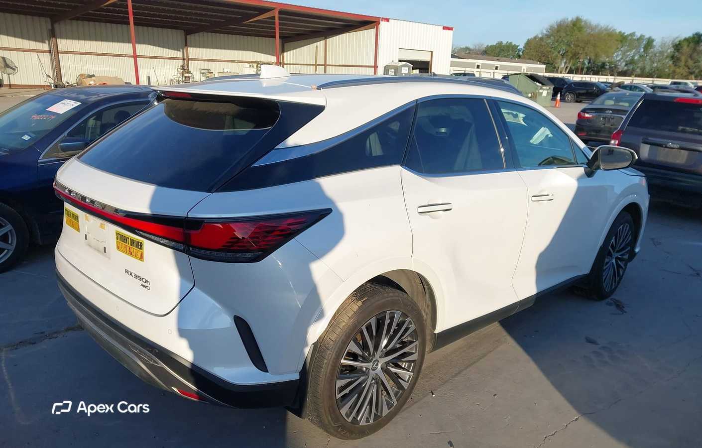 Lexus RX 2024