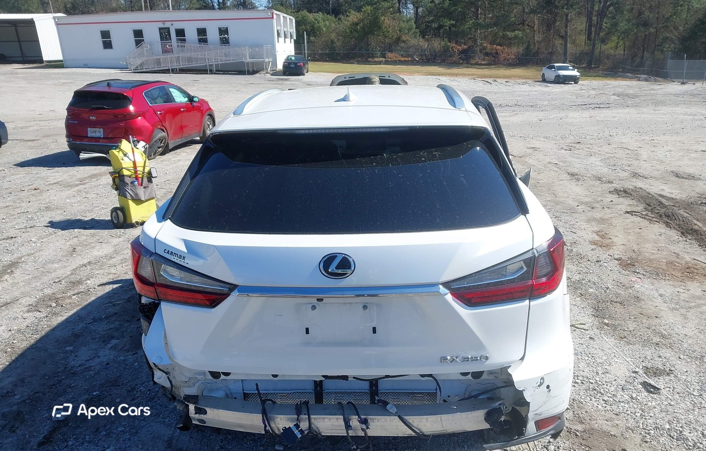 Lexus RX 2020