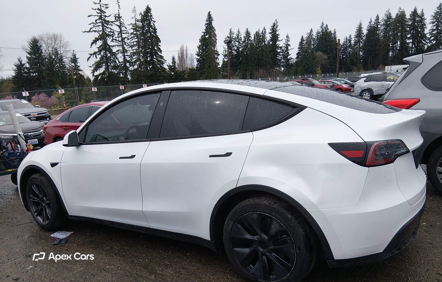 Tesla Model Y 2025