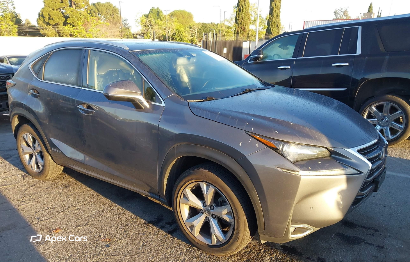 Lexus NX 2017