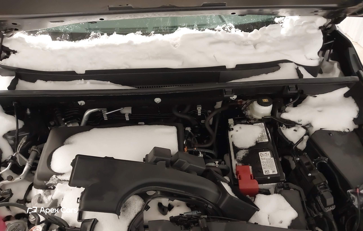 Toyota RAV 4 2025
