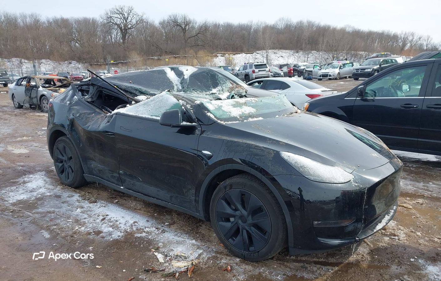 Tesla Model Y 2025