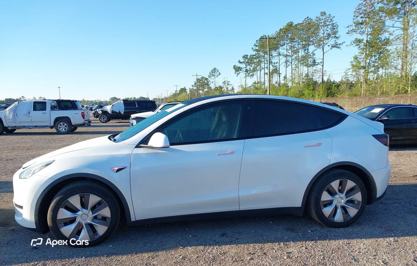 Tesla Model Y 2020