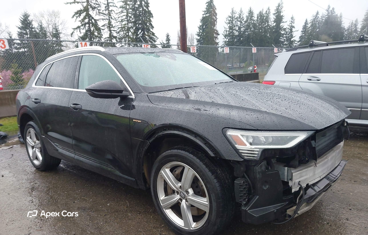 Audi e-tron 2019