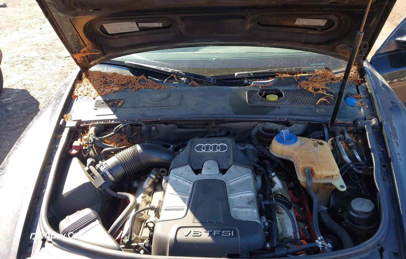 Audi A6 2011