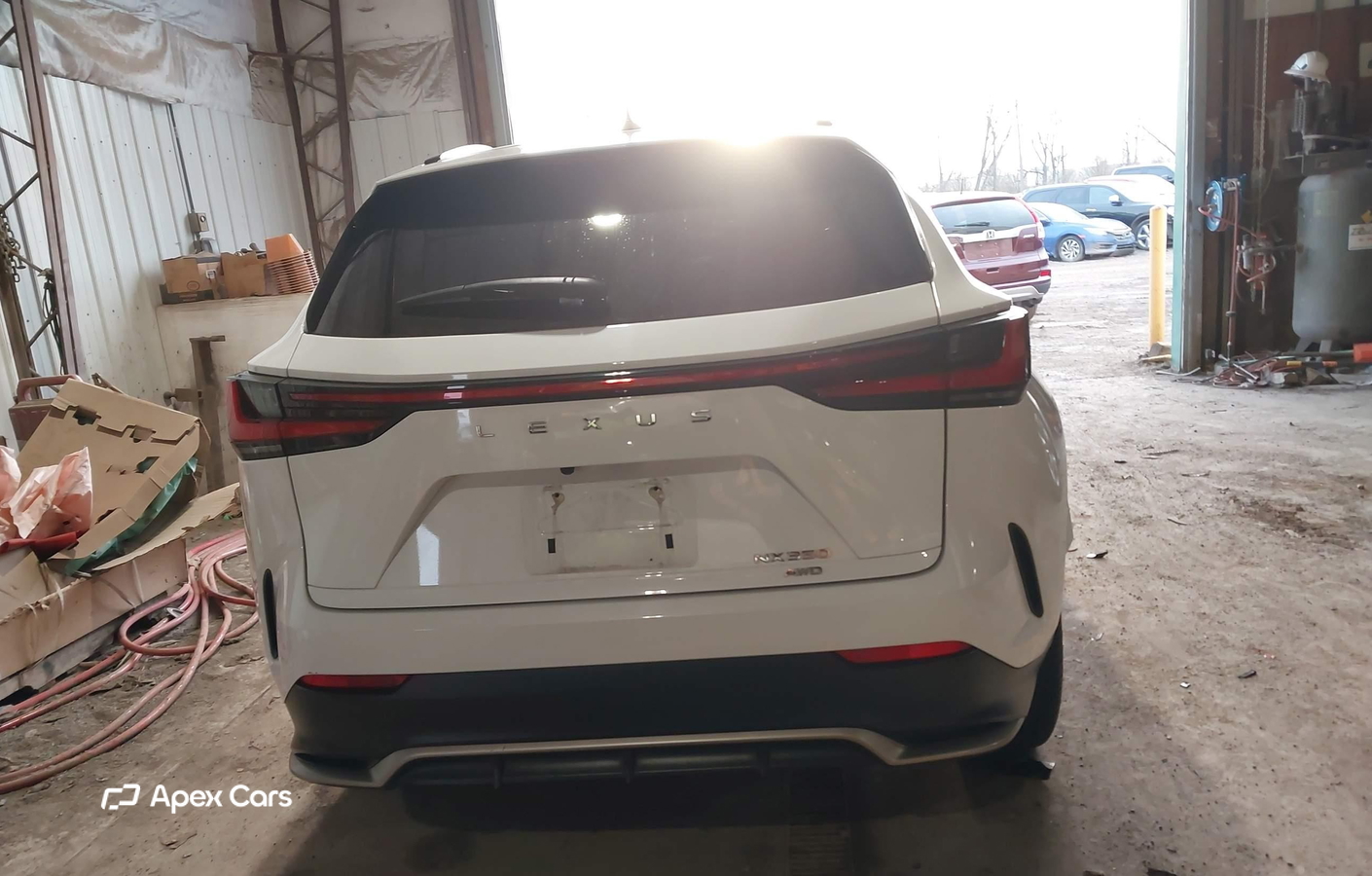 Lexus NX 2024