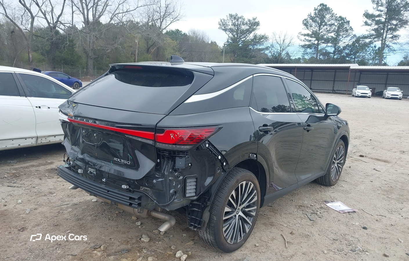 Lexus RX 2024