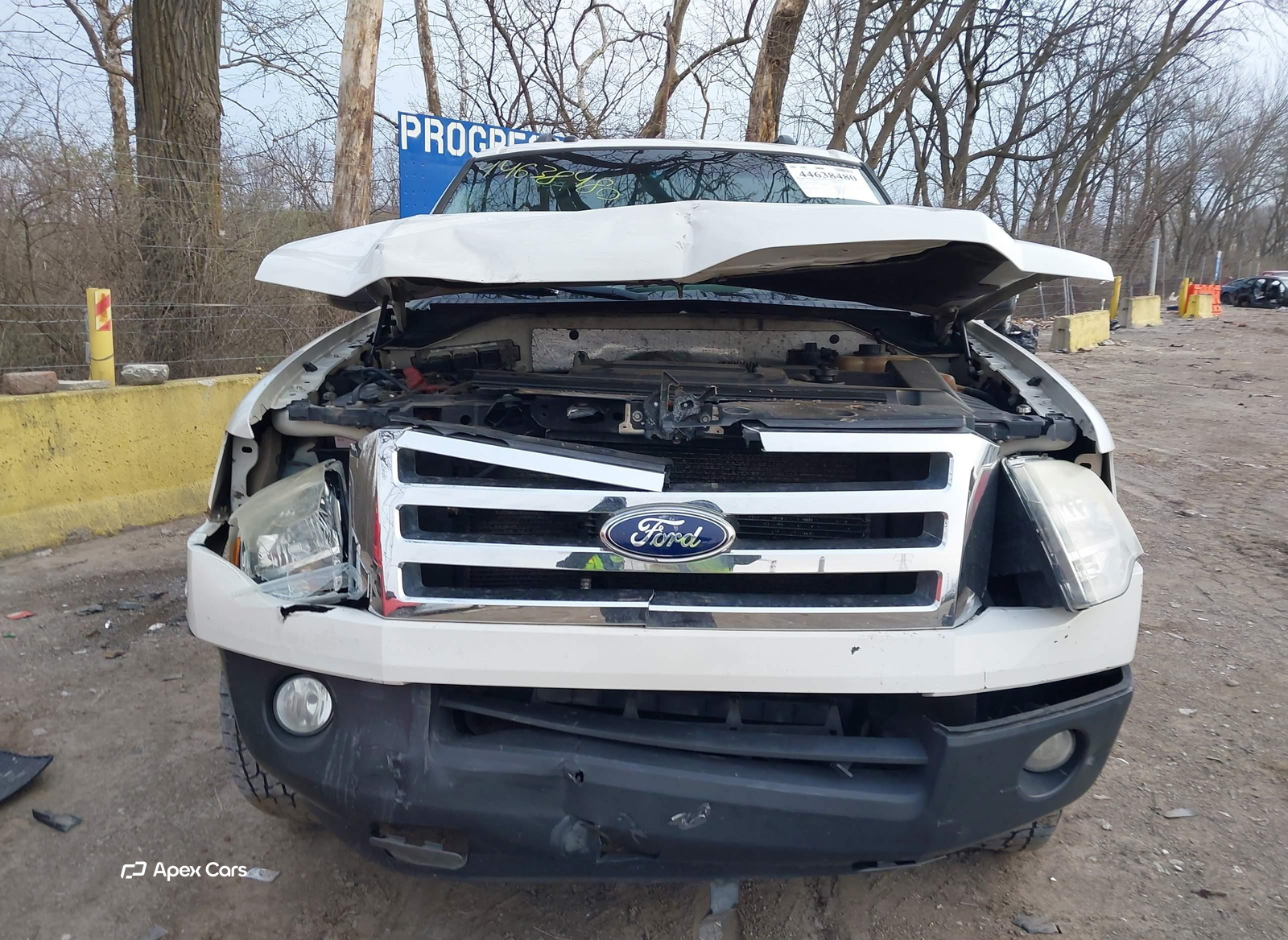 Ford Expedition 2008