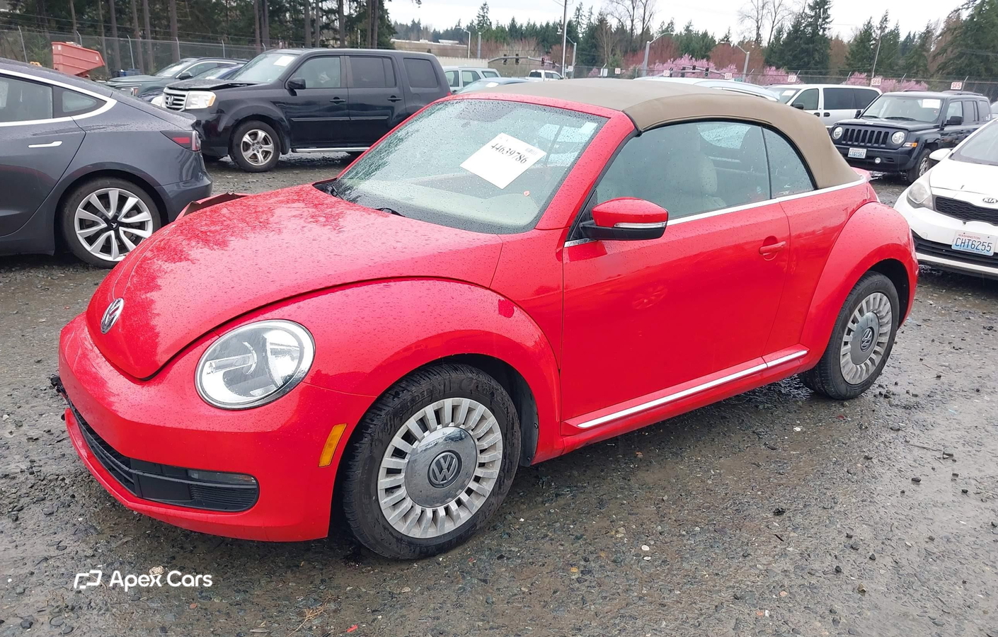 Volkswagen Beetle 2013