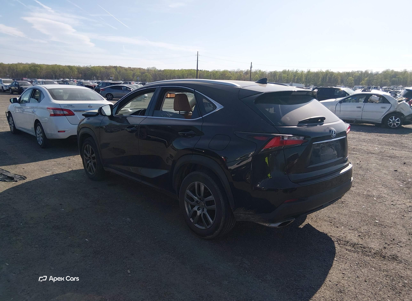 Lexus NX 2016