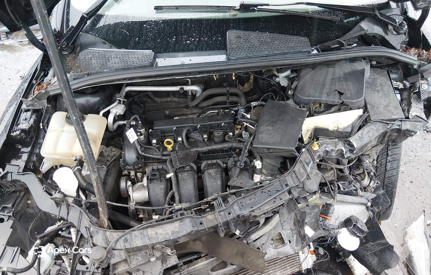 Ford Focus 2016