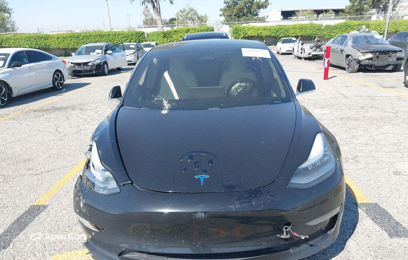 Tesla Model 3 2019